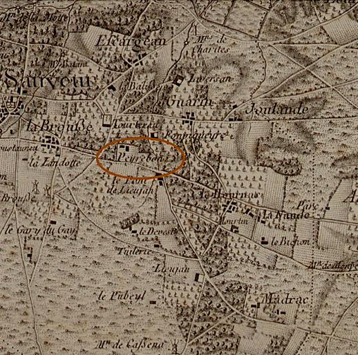 Carte archive du vignoble du Château Peyrabon